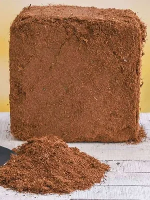 Coco Peat