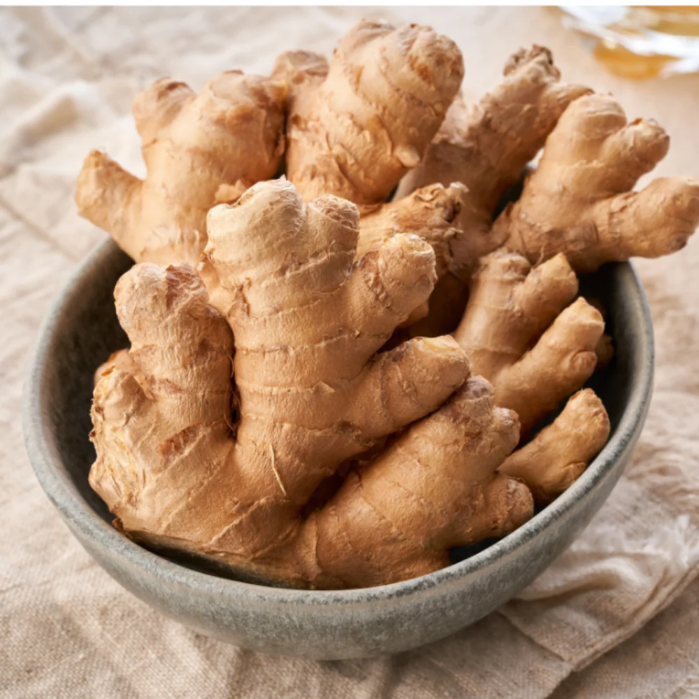 Fresh Ginger Export