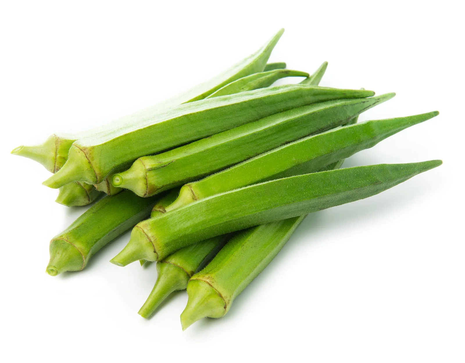 Fresh Okra Export Quality
