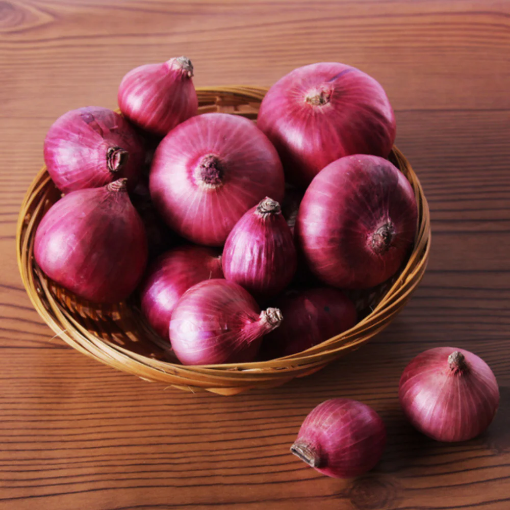Red Onion Export